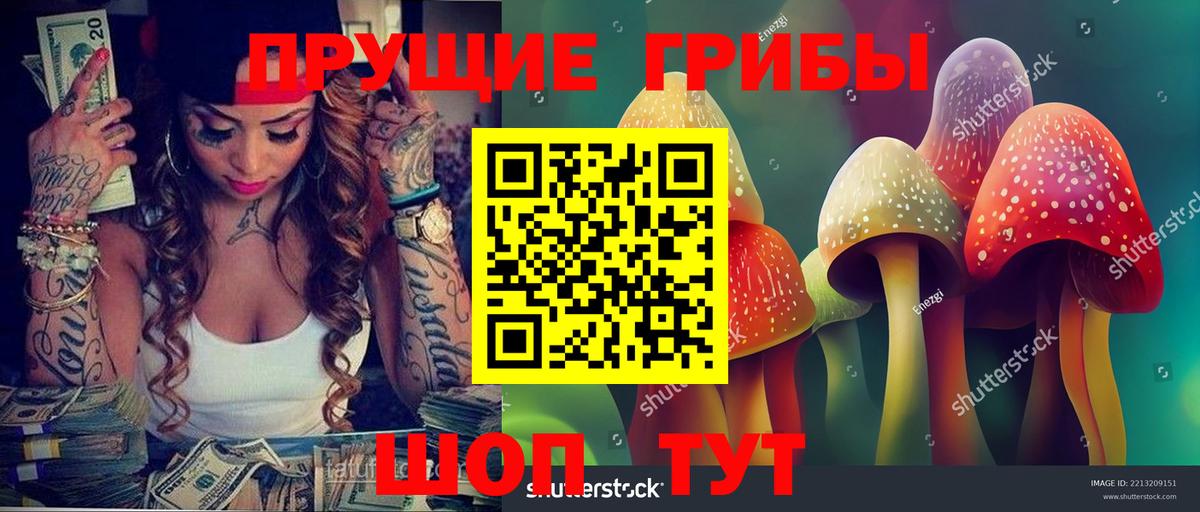 Псилоцибиновые грибы GOLDEN TEACHER Тула